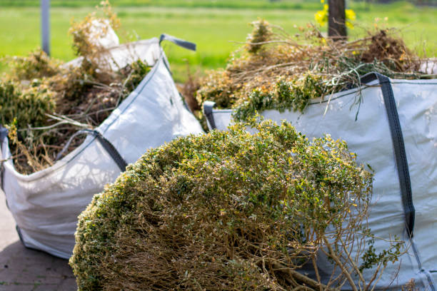 Best Estate Cleanout Services  in Wellington, CO