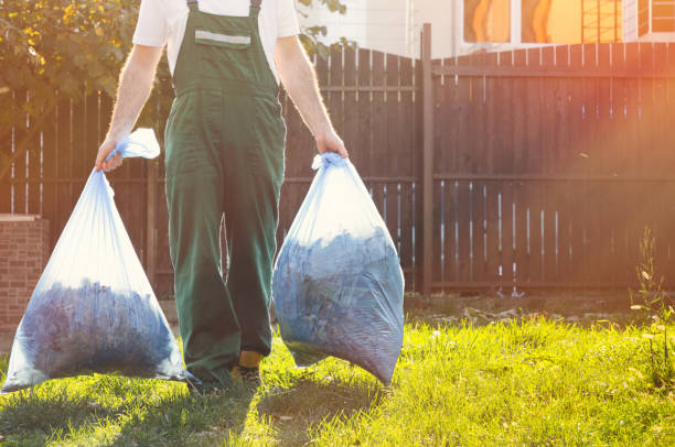 Best Furniture Removal Near Me  in Wellington, CO