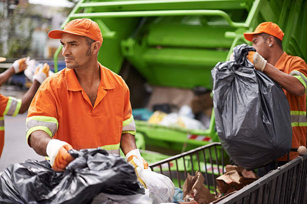 Best Electronics Removal Services  in Wellington, CO
